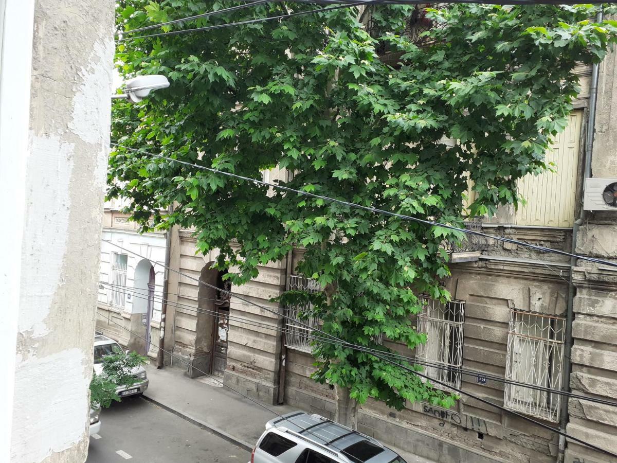 Woodmood Hostel 트빌리시 외부 사진